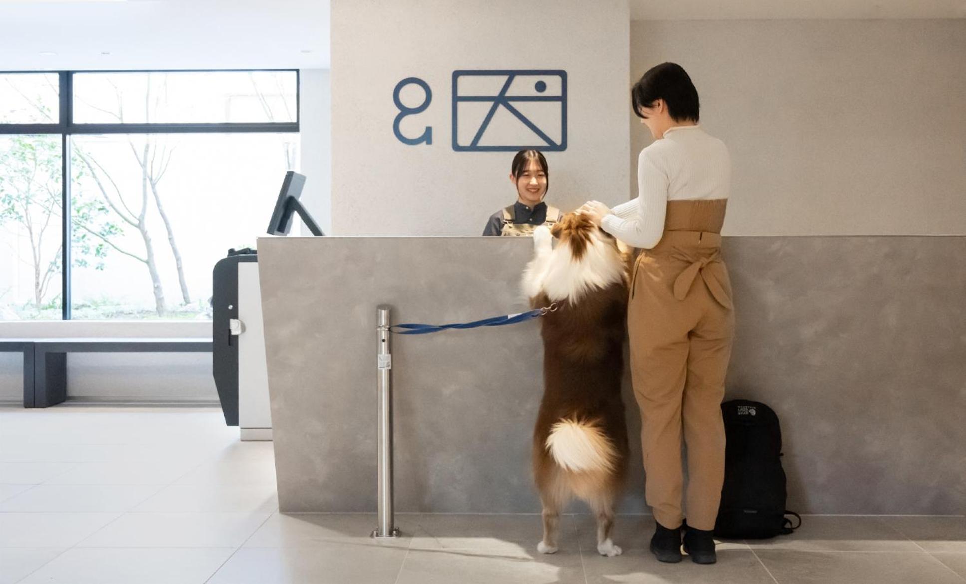 Hotel Anddoggy Kyoto Nijo Екстериор снимка