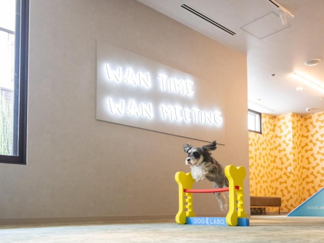 Hotel Anddoggy Kyoto Nijo Екстериор снимка