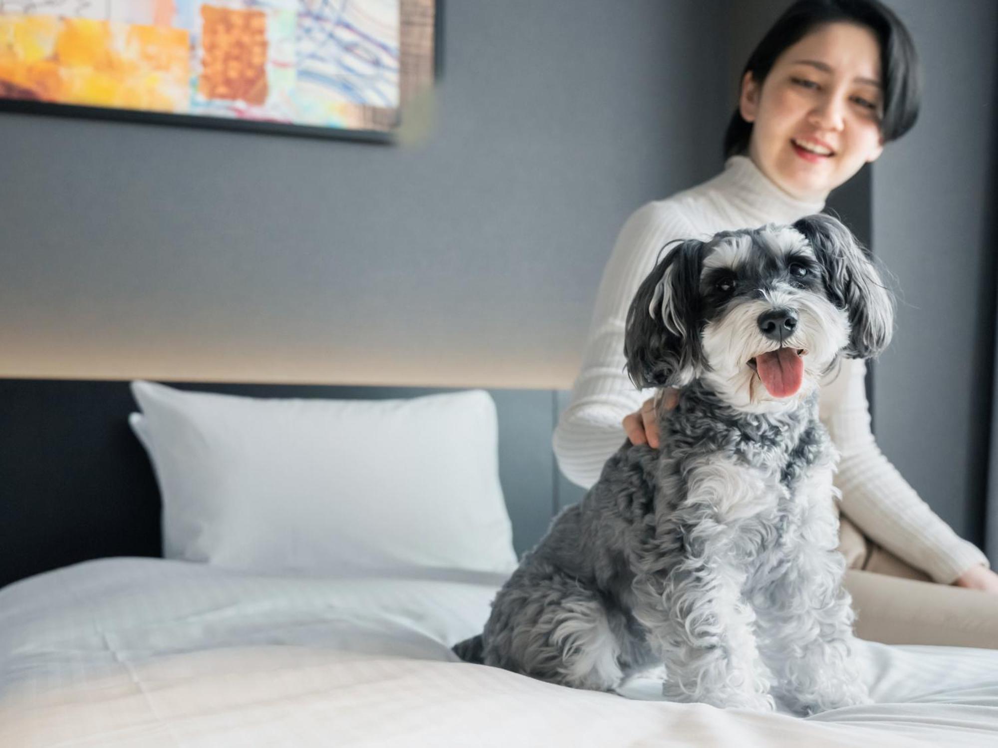 Hotel Anddoggy Kyoto Nijo Екстериор снимка