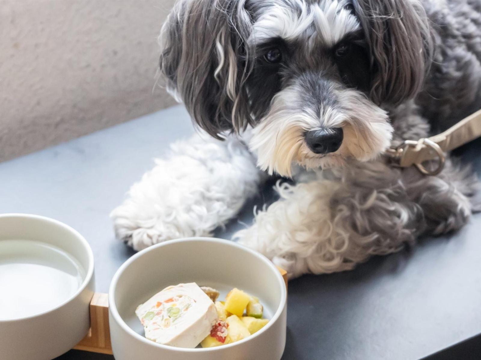 Hotel Anddoggy Kyoto Nijo Екстериор снимка