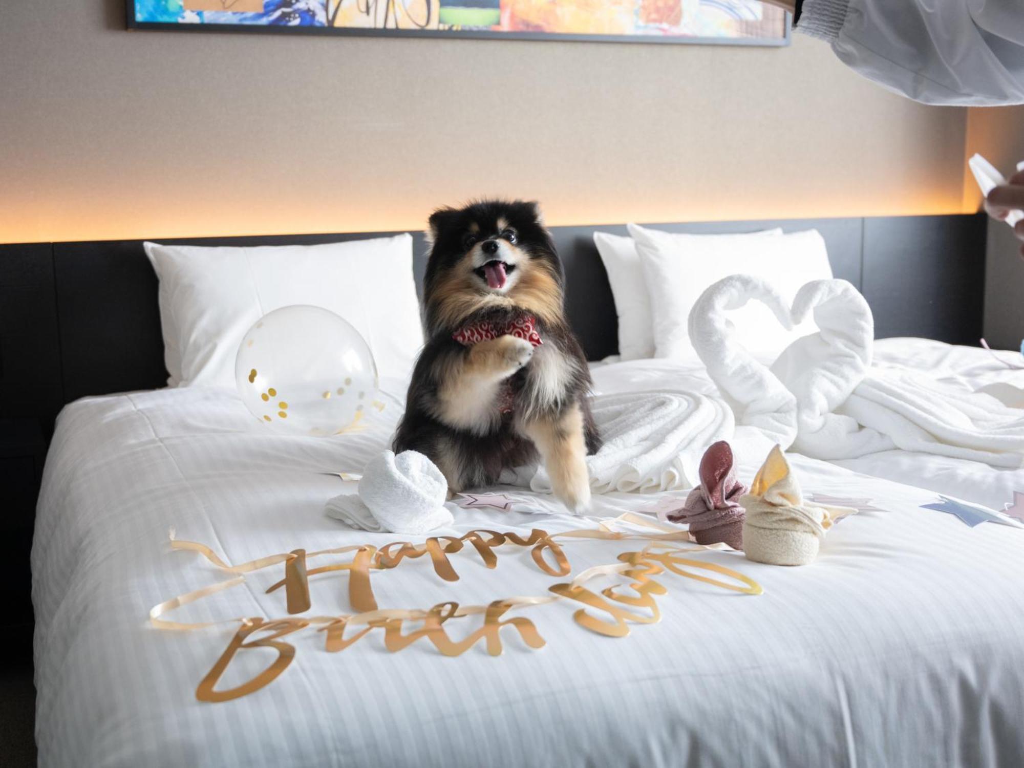 Hotel Anddoggy Kyoto Nijo Екстериор снимка
