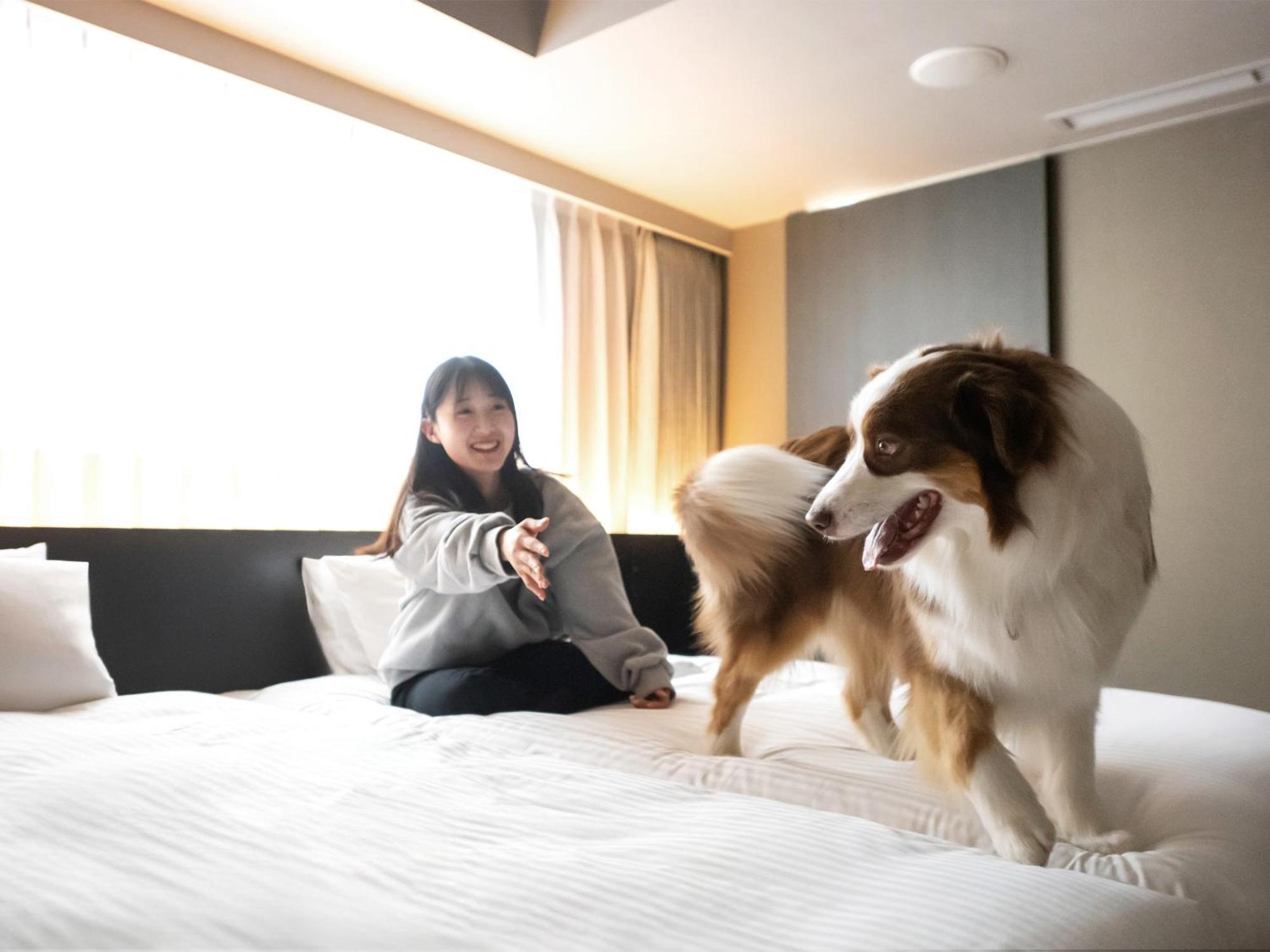 Hotel Anddoggy Kyoto Nijo Екстериор снимка